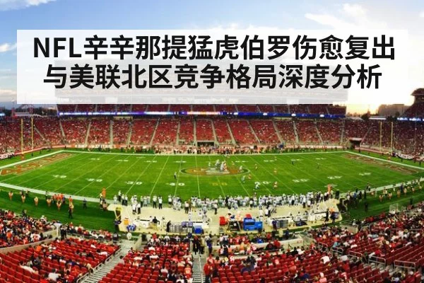 nfl stadium crowd