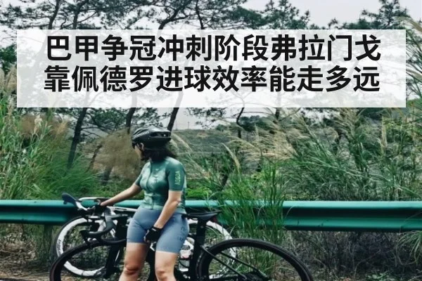 巴甲争冠冲刺阶段弗拉门戈靠佩德罗进球效率能走多远